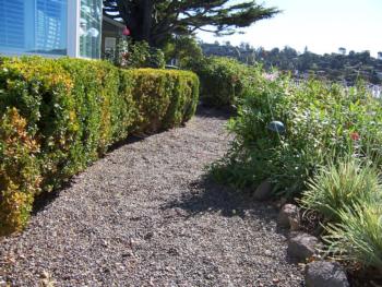 Gravel paths allow rain to slow, spread, and sink.