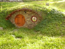 underground cellar