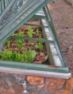 cold frame