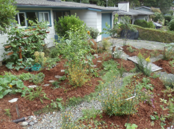 Permeable surfaces allow rainwater to soak in, slow down, and spread out