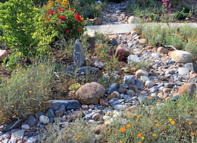 Rock Stream Drainage.  Photo credit: Lisa Martino, MMG