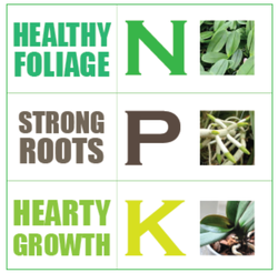 NPK