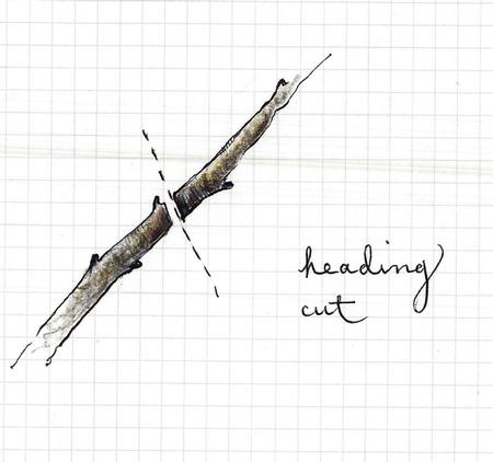 Heading cut