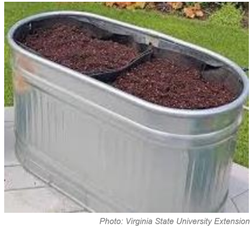 trough garden