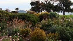 Blackie's Pasture view