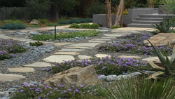 FIRE-smart front yard