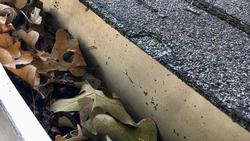 dried-up-leaves-in-a-gutter-in-the-fall_t20_nRZ2Y7