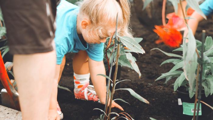 PLANTING anna-earl-Odhlx3-X0pI-unsplash