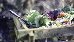 COMPOST Pixabaygarden-4725522_1920