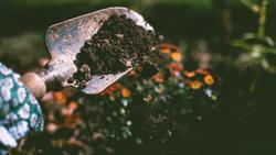 HAND compost pexels-lisa-fotios-1301856