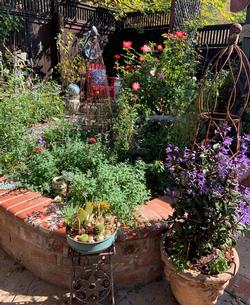 I planted the tall scabiosa too close to the front and there is not enough variety of texture and color.  I took this pic to remind me next year.