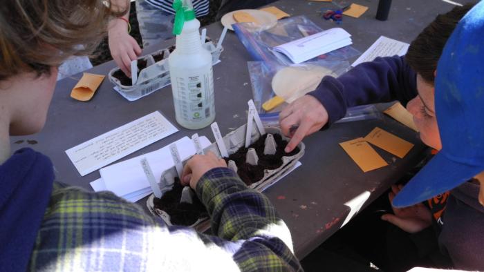 Teaching about seeds and germination by planting herbs and flowers        photo by Anne-Marie Walker