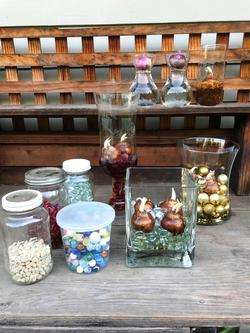 Indoor bulbs are ready to be placed in cool storage