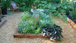 Intersperse flowering plants with food crops to attract pollinators and other beneficial insects.