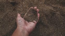 pexels-kenneth-carpina-2203683