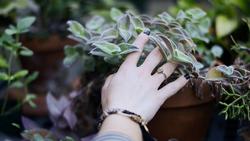 Hands lauren-ferstl-oVMS0RzWeFs-unsplash