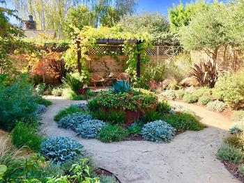 Plant diversity provides for a more diverse population of soil microorganisms. Credit: Jill Fugaro