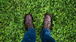 clover