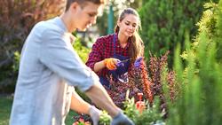 young-guy-gardener-in-garden-gloves-puts-the-pots--V24A6CF