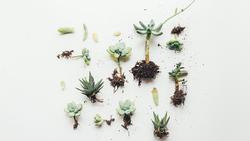 corinne-kutz-7ZtPwmSKj6U-unsplash