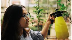 trung-thanh-suAnIFXSuuI-unsplash
