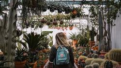 4.1, choosing plants, leonie-christine-unsplash