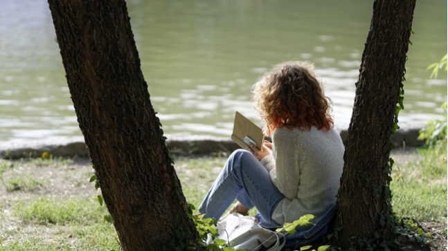 The tree you plant today may be here for your children and grandchildren – and beyond.  Photo: Candid Shots, Pixabay
