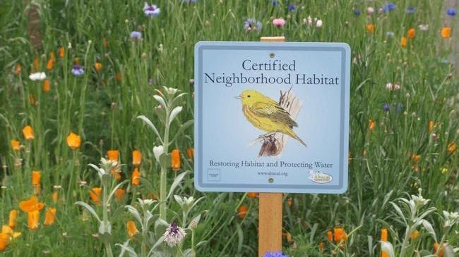 Be part of a wildlife corridor between islands of natural habitat.  Photo: Courtesy of UC Regents