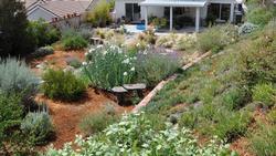 Controlling weeds, conserving water, and making the area more attractive are just a few of the benefits of mulch. Credit: GardenSoft