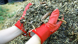 Green waste mulch is low to no cost, and good for the soil.   Credit: Landscape for Life