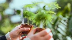 Read plant labels carefully; support nurseries that offer neonicotinoid-free plants.  Photo: Visually, Pexels