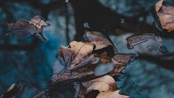 ehud-neuhaus-k2LOUyGIips-unsplash