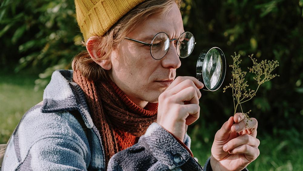 Look closely at the problem plant to clearly identify what’s wrong. Photo: C Technical, Pexels