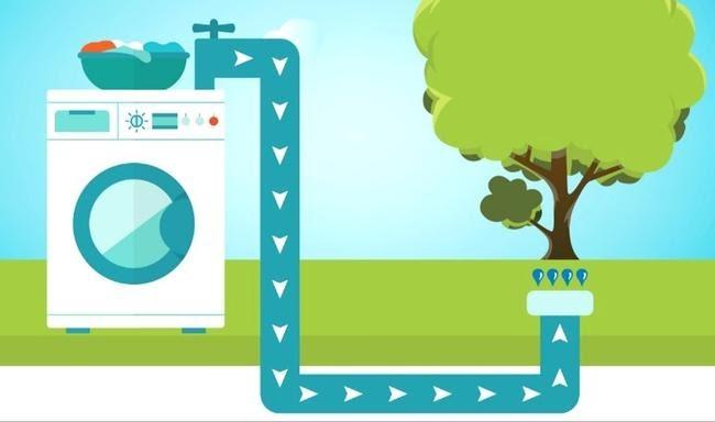 One type of graywater system recycles water from your washer for landscape use.  Credit: Pasadena Water and Power