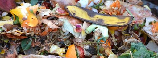 Compost fruit and vegetable discards as well as garden plant material to produce a rich soil amendment and reduce landfill.  Ben Kerchx, Pixabay