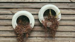 Wall planters made of painted rubber tires. Photo: Unsplash