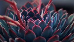yousef-espanioly-AWYI4-h3VnM-unsplash