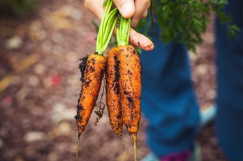 Photo: “Markus Spiske,Pexels”