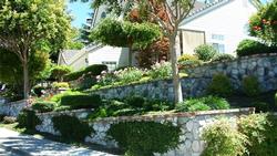 Terraces allow water to seep into soil instead of running downhill. Photo: GardenSoft