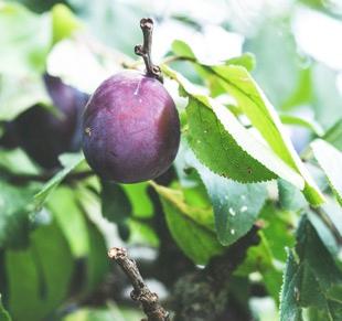 Photo: Markus Spiske/Unsplash