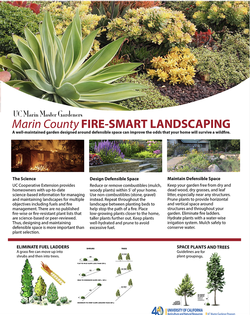 FIRE-SMART TIPS