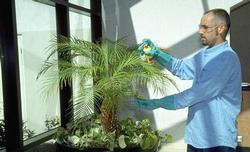 Always wear proper protection when applying pesticides.  UC ANR