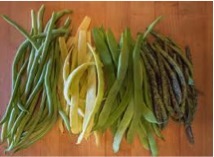 beans1