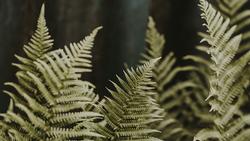 annie-spratt--Dl9AISnCdc-unsplash