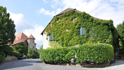 Clinging vines can smother buildings. Photo: ygirod, pixabay