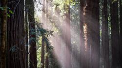 ralph-ravi-kayden-eHudP4-2XTw-unsplash