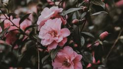 annie-spratt-W940L6EGV_0-unsplash