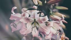 julia-kadel-lNQiDW4RRAg-unsplash