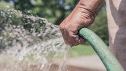 Be sure there is an easily accessible faucet and hose near the edible garden. Photo: pxhere
