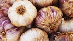 Store garlic in a cool dry location in mesh bags or with tops braided together. Nick Fewings, Unsplash
